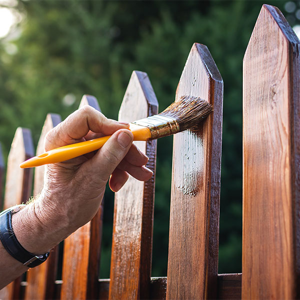 Fencing and shed maintenance